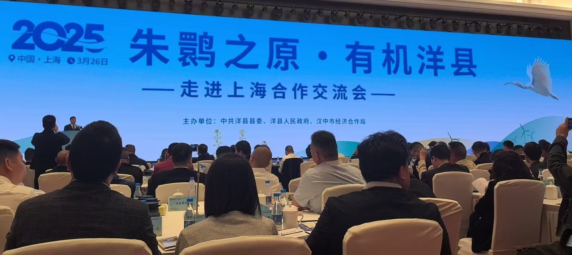 微信图片_09.jpg