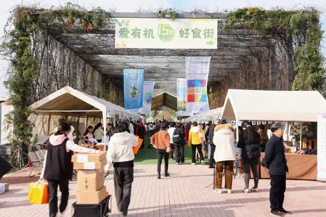 1764120704341427.png d921fd553fdd804116d6879fe20c4bdf.png