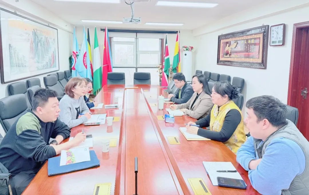 1774429084794710.png 004c6cf5-969e-4260-bef5-63233f634416.png