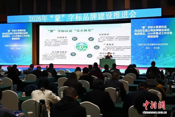 1774489208798321.png 071d13cb5da4fa2aa1dc0a398b603176.png